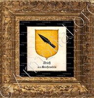 cadre-ancien-or-REICH von REICHENSTEIN_Basel_Schweiz