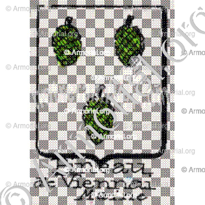 Pineau de Viennai__