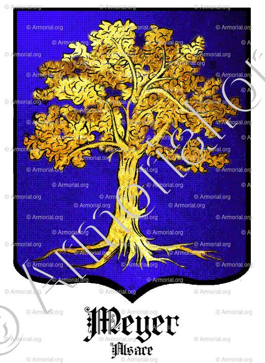 MEYER_Alsace_France (i)