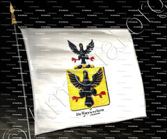 drapeau-DE RUYSSCHEN D'ELISSEM_Armorial royal des Pays-Bas_Europe