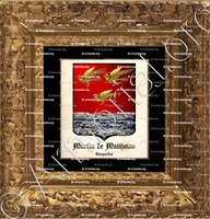 cadre-ancien-or-MARTIN de MAILHOLAS_Languedoc_France (1)