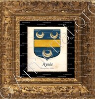 cadre-ancien-or-AYNÈS_ Armorial de France de 1696-1710, Reg. Lyon (4)