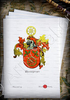 velin-d-Arches-EHRENSPERGER_ Wappenbuch der Stadt Basel . B.Meyer Knaus 1880._Schweiz. Suisse. Svizzera. ()