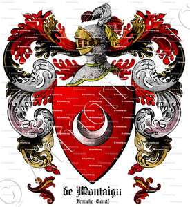 De MONTAIGU