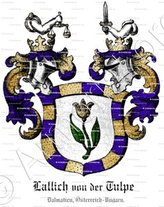 LALLICH von der TULPE