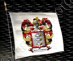 drapeau-GUICHARD de BATTIGNY_Vassal du comte de Vaudémont, 14e s._France (iv)