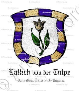LALLICH von der TULPE