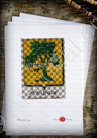 velin-d-Arches-Amboix__