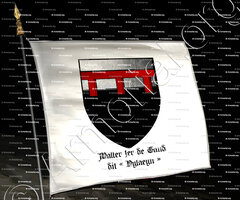 drapeau-WALTER 1er de GAND dit VYLAEYN_ Flandre_()