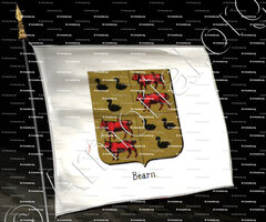 drapeau-BÉARN (Ctes)_Blason datant de 1850._France