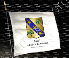 drapeau-GAYOT ou GAYOT DE LA BUSSIÈRE_Lyonnais, Forez, Angoumois._France  (1)