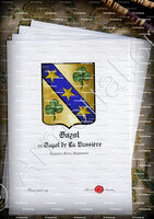 velin-d-Arches-GAYOT ou GAYOT DE LA BUSSIÈRE_Lyonnais, Forez, Angoumois._France  (1)