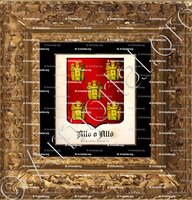 cadre-ancien-or-ALLO o ALLÓ_Guipuzcoa, Navarra_España copie