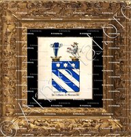 cadre-ancien-or-DE SELLIERS DE MORANVILLE_Armorial royal des Pays-Bas_Europe