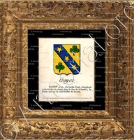 cadre-ancien-or-GAYOT ou GAYOT DE LA BUSSIÈRE_Lyonnais, Forez._France  (3)