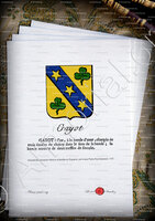 velin-d-Arches-GAYOT ou GAYOT DE LA BUSSIÈRE_Lyonnais, Forez._France  (3)