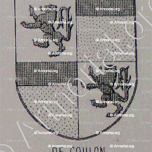 de COULON_Armorial du Bourbonnais (Cte G. de Soultrait, 1857)_France (iii)