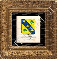 cadre-ancien-or-GAYOT ou GAYOT DE LA BUSSIÈRE_Lyonnais, Forez._France (4)