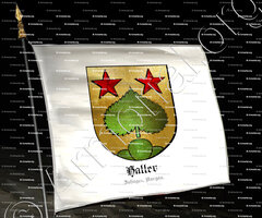 drapeau-HALLER_Zofigen, Aarau._Schweiz ()
