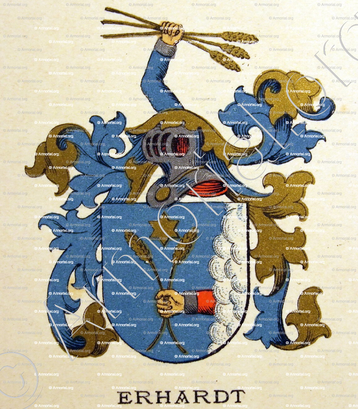 SECHSERN ARMOIRIES COAT Of Arms Héraldique Genealogie Gravure sur