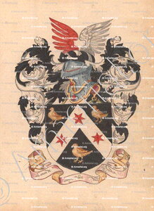 Van DEKEN