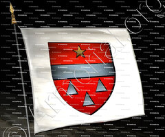 drapeau-FOUG de CLUSES_Ancien Duché de Savoie_États de Savoie