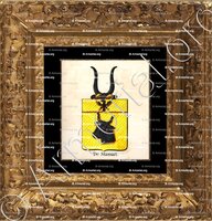 cadre-ancien-or-DE STASSART_Armorial royal des Pays-Bas_Europe