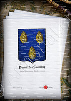 velin-d-Arches-PINAULT des JANMAUX_Anjou, Tournaisis, Flandre romane (2)