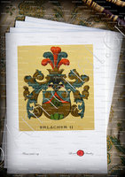 velin-d-Arches-ERLACHER_Wappenbuch der Stadt Basel . B.Meyer Knaus 1880_Schweiz