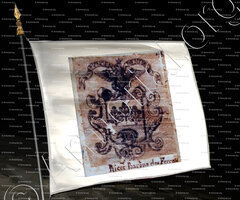 drapeau-RICCI_Contea di Nizza_Ducato di Savoia, Regno di Sardegna.