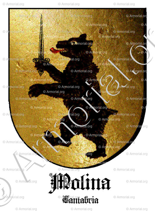 MOLINA_Cantabria_España (i)