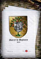 velin-d-Arches-GABRIEL de ESPINOSA_Toledo_España (i)