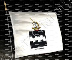 drapeau-DE SURMONT_Armorial royal des Pays-Bas_Europe