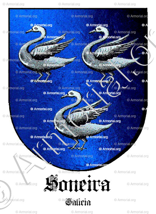 SONEIRA_Galicia_España (i)