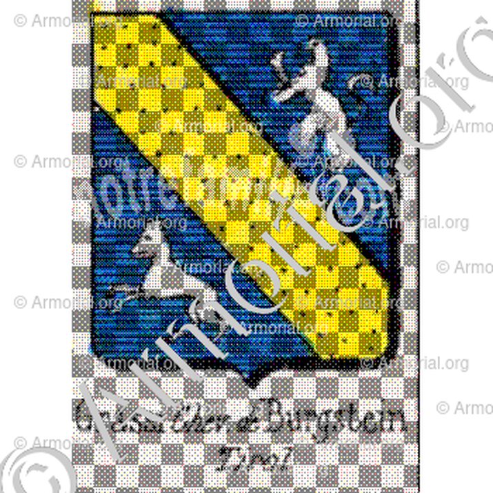 Grassi Chev. de Burgstein__