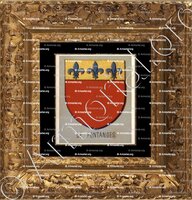 cadre-ancien-or-de FONTANGES_Armorial du Bourbonnais (Cte G. de Soultrait, 1857)_France (i)