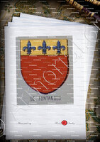 velin-d-Arches-de FONTANGES_Armorial du Bourbonnais (Cte G. de Soultrait, 1857)_France (i)