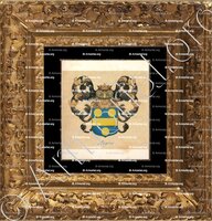cadre-ancien-or-AUGIER_Armorial de France, 1696-1710. Reg. Auvergne (d'Hozier)_France +