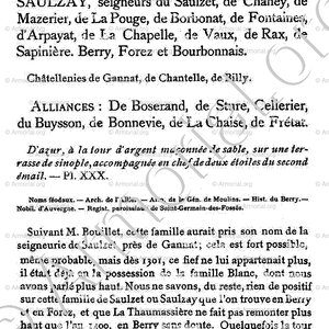 Du SAULZET ou de SAULZET_Armorial du Bourbonnais (Cte G. de Soultrait, 1890)_France (5)