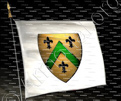 drapeau-GALIS_Duché de Savoie_États de Savoie (de Galis)