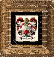 cadre-ancien-or-BROUWER-STARCK_Den Haag (La Haye)_Nederland (Pays-Bas) ()