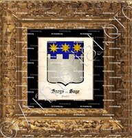 cadre-ancien-or-SAEYS ou SAYE_Flandre_Belgique (2) copie