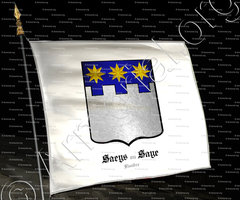 drapeau-SAEYS ou SAYE_Flandre_Belgique (2) copie