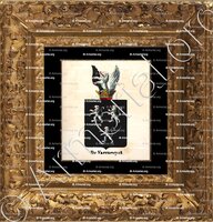 cadre-ancien-or-DE VAERNEWYCK_Armorial royal des Pays-Bas_Europe