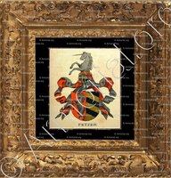 cadre-ancien-or-FETZER_Wappenbuch der Stadt Basel . B.Meyer Knaus 1880_Schweiz