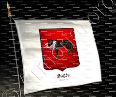 drapeau-SAYÉS_Navarra_España (2)