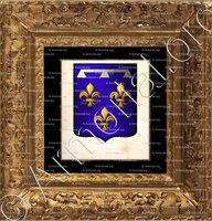 cadre-ancien-or-d'ORLEANS_Duc et Duché d'Orléans._France