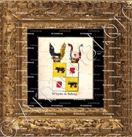 cadre-ancien-or-DE VEYDER DE MALBERG_Armorial royal des Pays-Bas_Europe