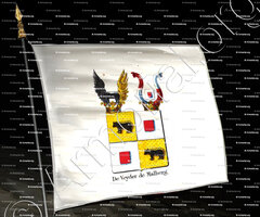 drapeau-DE VEYDER DE MALBERG_Armorial royal des Pays-Bas_Europe