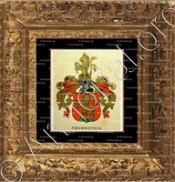 cadre-ancien-or-FEUERSTEIN_Wappenbuch der Stadt Basel . B.Meyer Knaus 1880_Schweiz